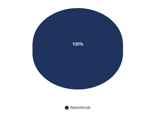 Kreisdagramm Verteilung: 100 % Aktienfonds